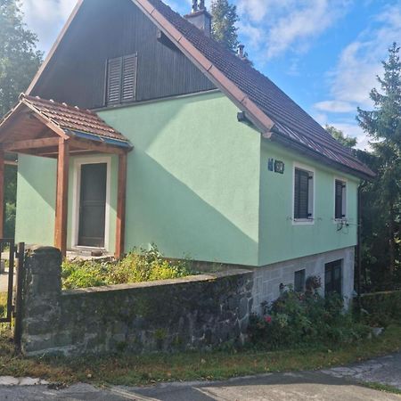 Forest Chalet Zalesina Exterior photo